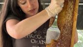 Beekeeping tour