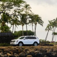 Adrenaline & Extreme