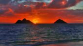 A great photography and O’ahu island tour with a great guide.