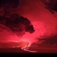 Private & Custom Tours