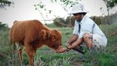 What a farm should be....