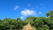 Amazing Koko Head Experience with Nicole