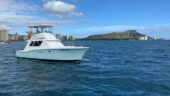 Fantastic Blue Marlin trip