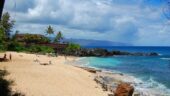 Amazing Hawaiian Tours!