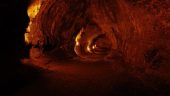 Hawaii Volcanoes National Park & Hilo Tour