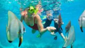 Outstanding adventure, adults and kid friendly for a perfect afternoon of ocean adventures!