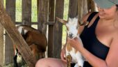 Goats