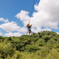 Ziplines