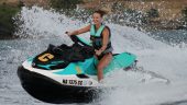 Amazing Experience — and Dolphins!