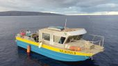 Maui diving, rocks!