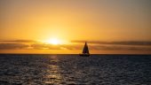 Sunset Cruise