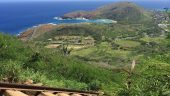 Koko head made easy