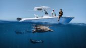 Turtle time!
