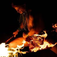 Family-friendly Shows