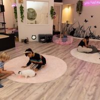 Zoo Tickets & Passes