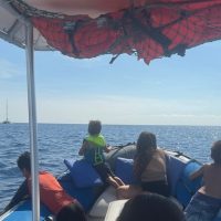 Hop-on Hop-off Tours