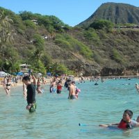 Holiday & Seasonal Tours