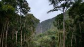 Amazing adventure!!!