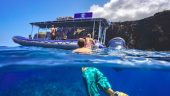 Best snorkeling in Maui