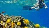 Incredible Snorkeling Excursion