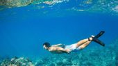 Great snorkeling.