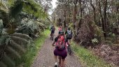 Volcanos National Park e-bike tour
