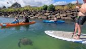 Beautiful day kayaking - can’t beat it!