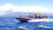 BEST SNORKELING CRUISE!!