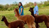 Excellent family-friendly experience