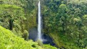 Big Hawaii Tours Has Hilo Covered