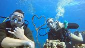 Tremendous diving experience!