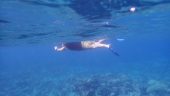 Personalized amazing snorkeling adventure!