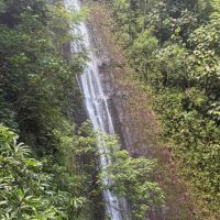 Eco Tours