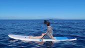 Up close personal coonection with humpback whales on SUP!