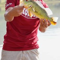 Fishing Charters & Tours