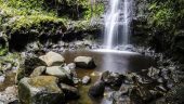 Best Tour and Knowledgeable Guide in Honolulu!!