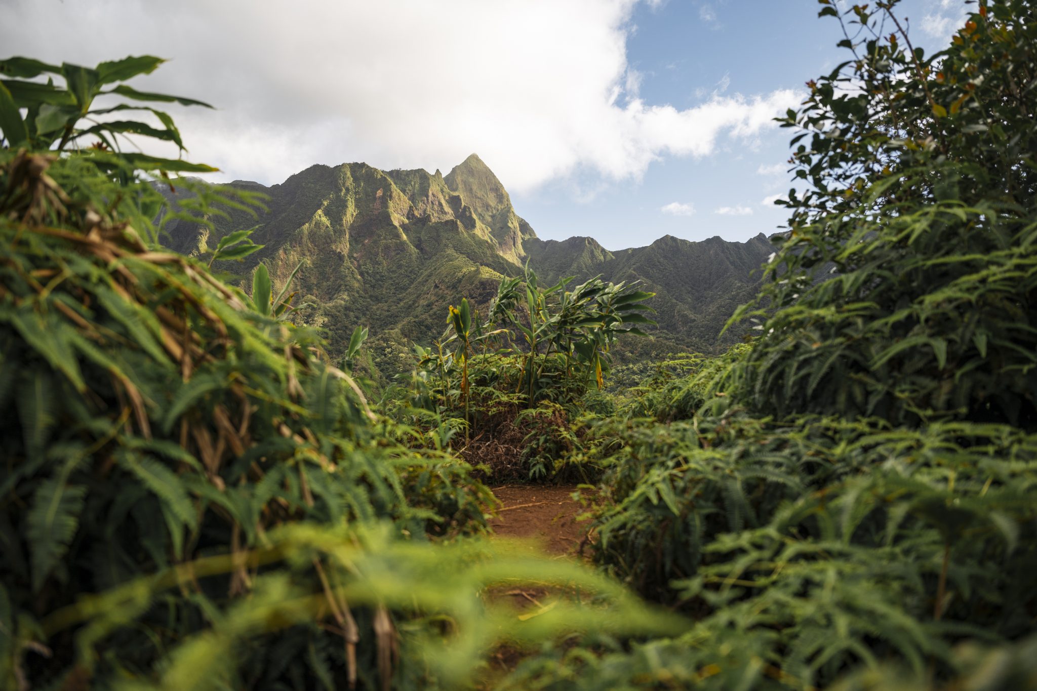 On the ridges of IOA Valley hike